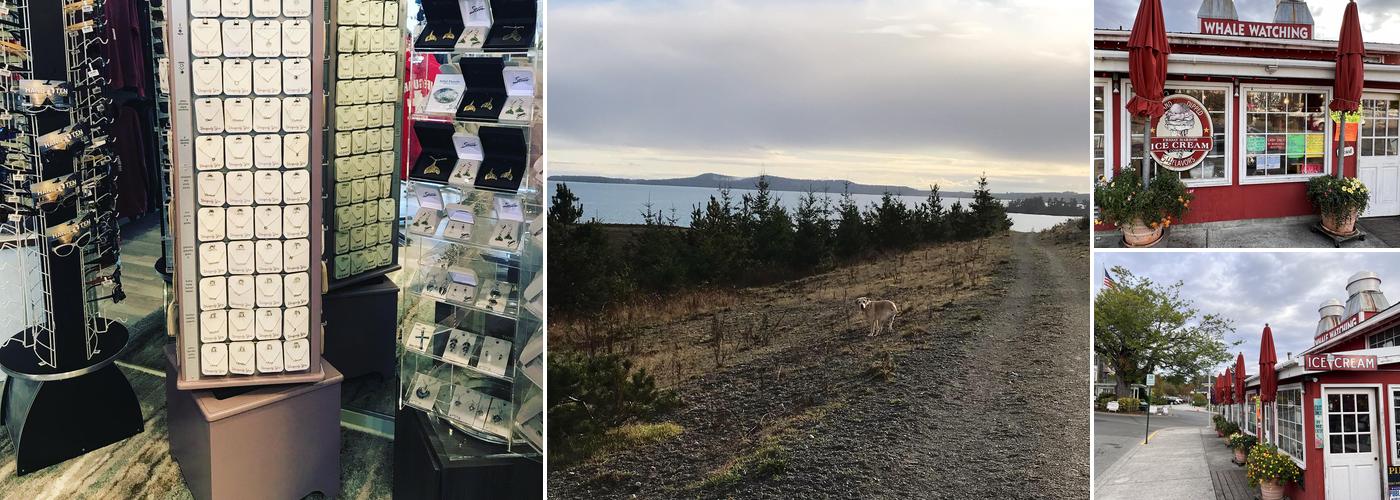 Friday Harbor Ice Cream Co.