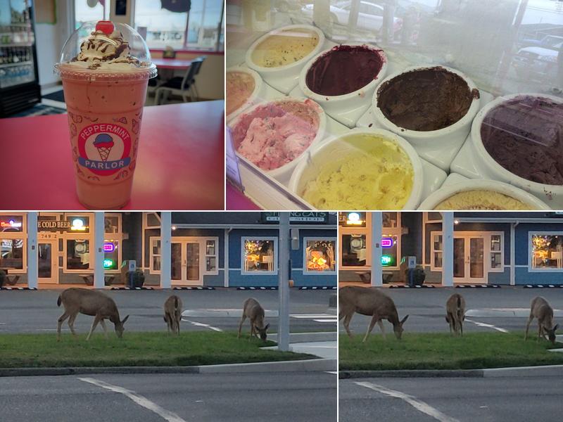 Peppermint Parlor 748 Point Brown Ave NE, Ocean Shores