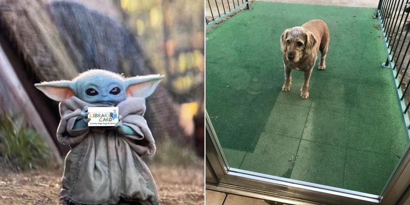 Mexico Bakery 111 Franklin St NW, Russellville