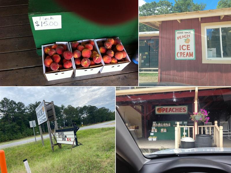 Pee Dee Orchards Inc