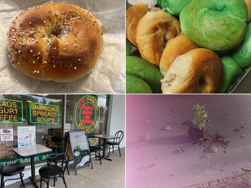 Country Bagel and Bakery