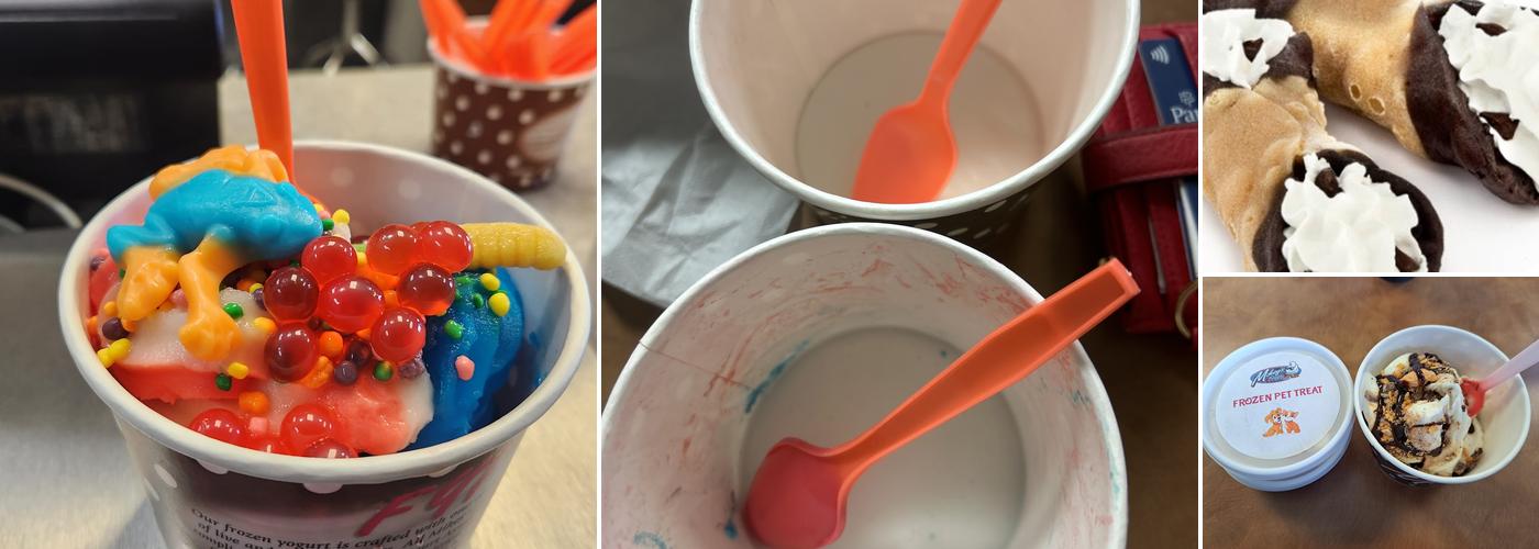 Mikey's Frozen Yogurt