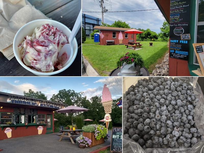 Trimmers Ice Cream 9833 NY-96, Trumansburg