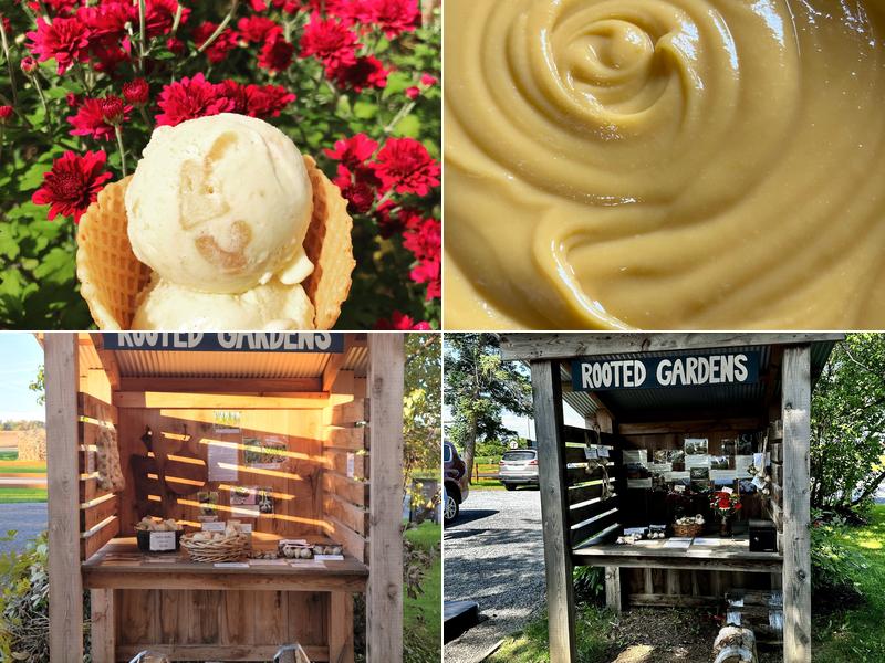 Spotted Duck 999 NY-54, Penn Yan