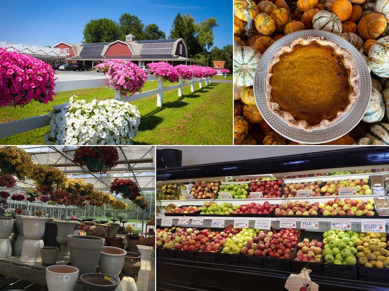 Samascott's Garden Market