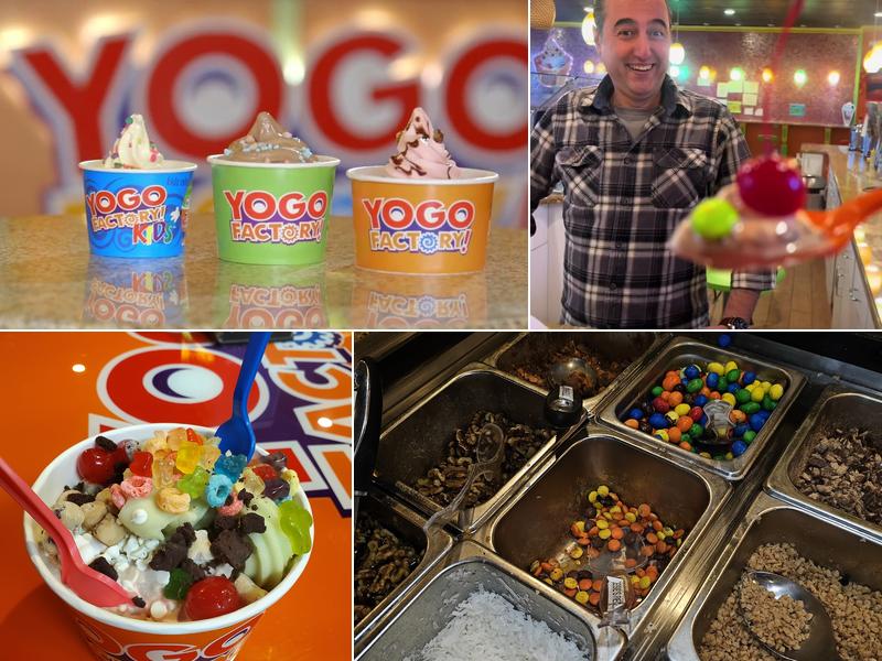 Yogo Factory