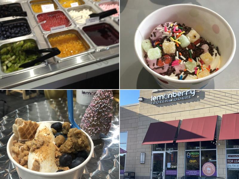 Lemonberry Frozen Yogurt