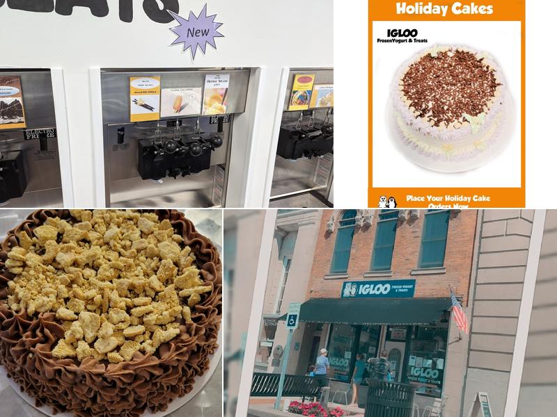 Igloo Frozen Yogurt and Treats