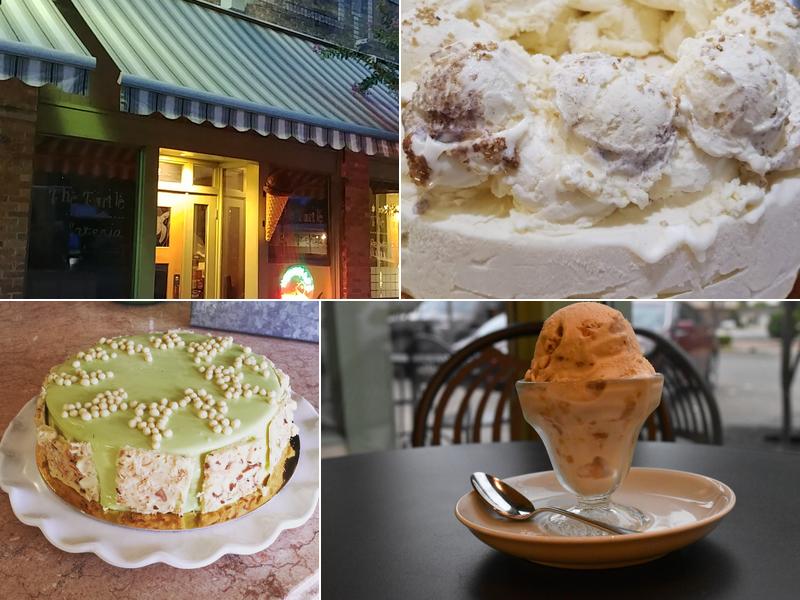 The Turtle Gelateria