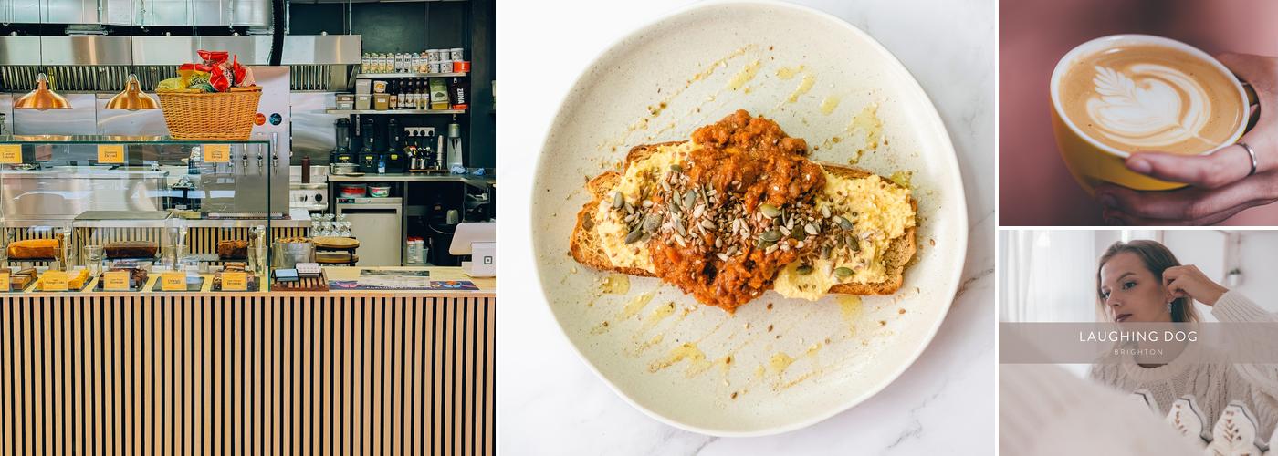 Laughing Dog Brighton - Café & Shop