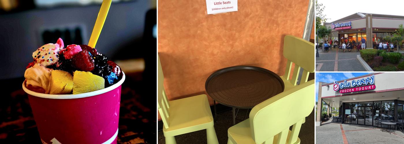 Blu Berry Frozen Yogurt - Silverdale