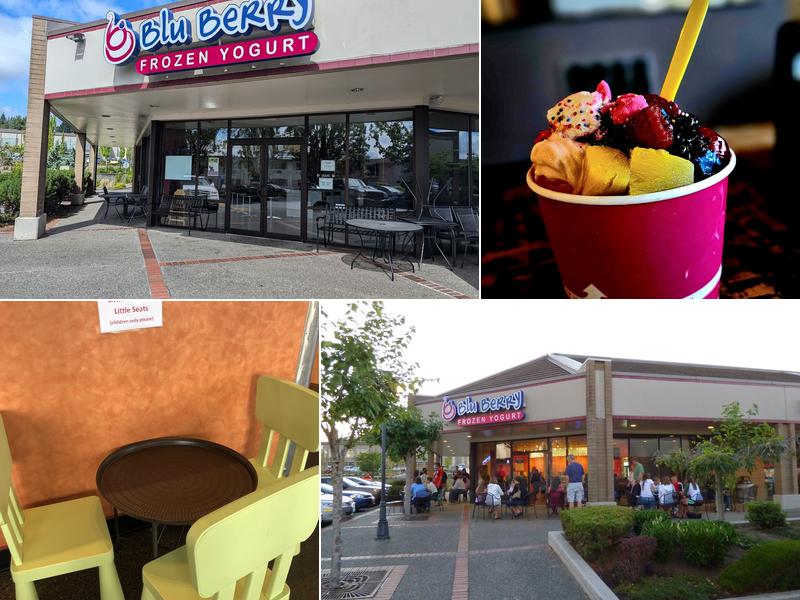 Blu Berry Frozen Yogurt - Silverdale