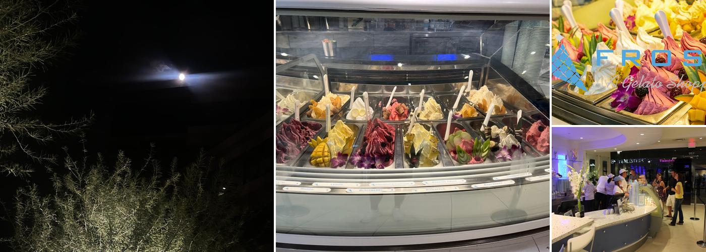Frost Gelato at the Biltmore