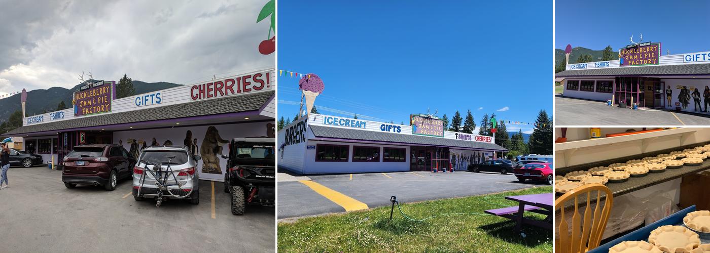 Willow's Huckleberry land