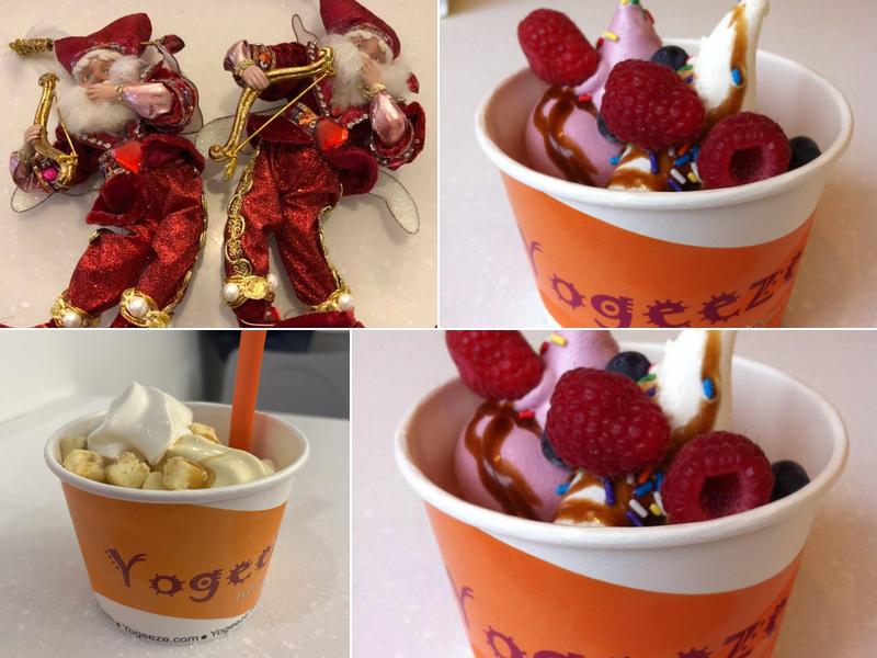 Yogeeze Frozen Yogurt