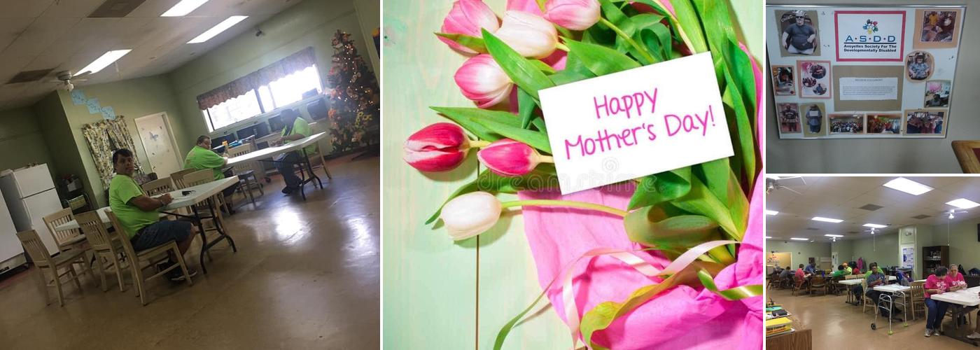 Silver Lining Pie Co