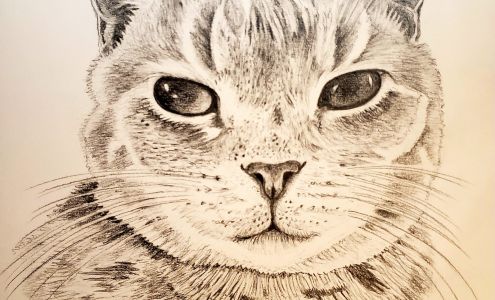 Michelle's Pet Art Warminster