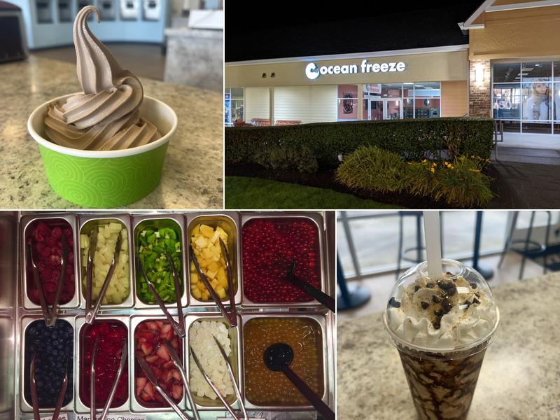 Ocean Freeze Yogurt