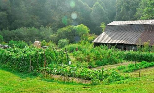 Faith Mountain Farm Creston