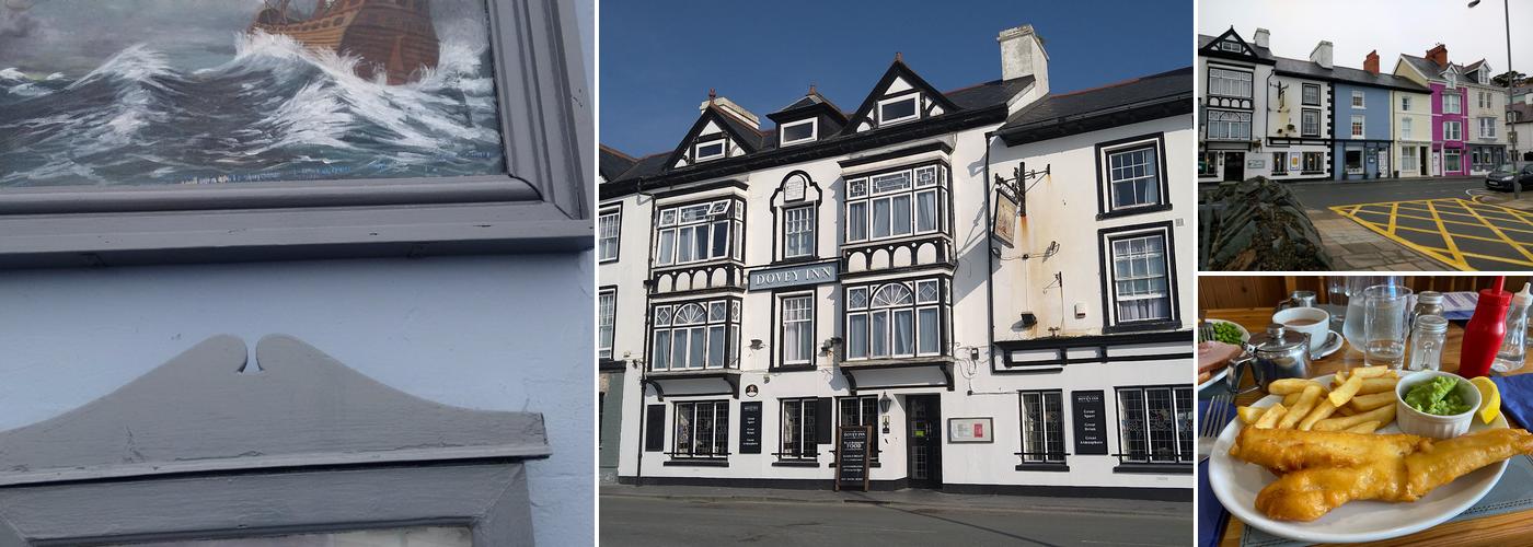 Bear of Amsterdam Cafe