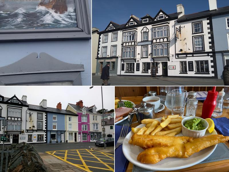 Bear of Amsterdam Cafe