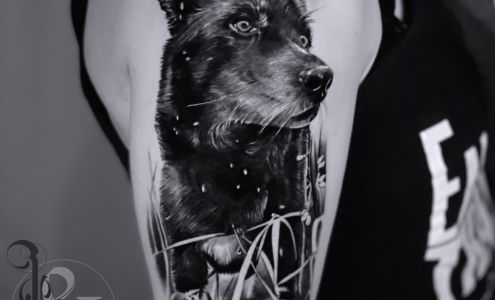 Love N Hate Elite Tattoo Studio 1480 Ammons St, Lakewood Colorado 80214