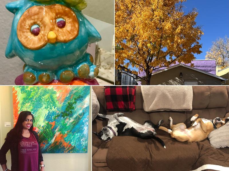 Evolution Hair Studio