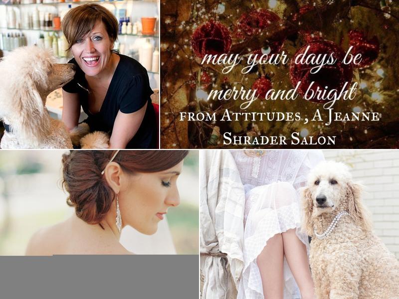 Attitudes, A Jeanne Shrader Salon