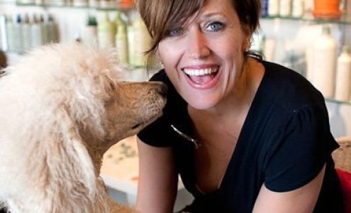 Attitudes, A Jeanne Shrader Salon