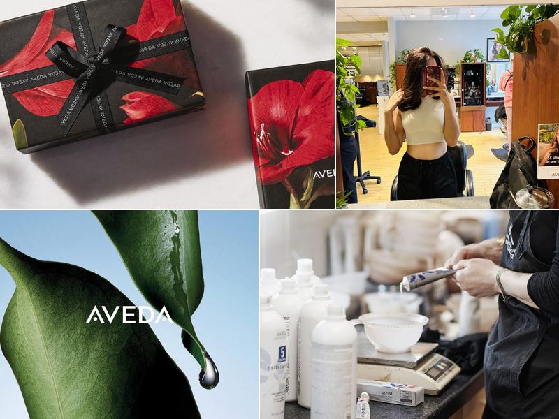 Philip Johnson Salon/Spa