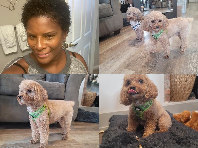 Hair It Is Beauty Salon