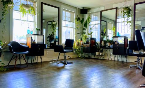 Trim Hair Salon Washington