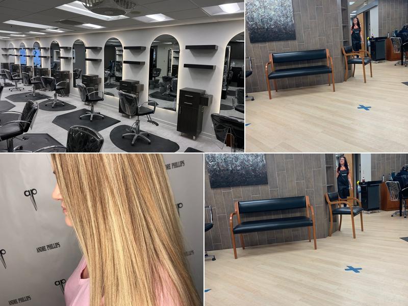 Andre Phillips A Salon