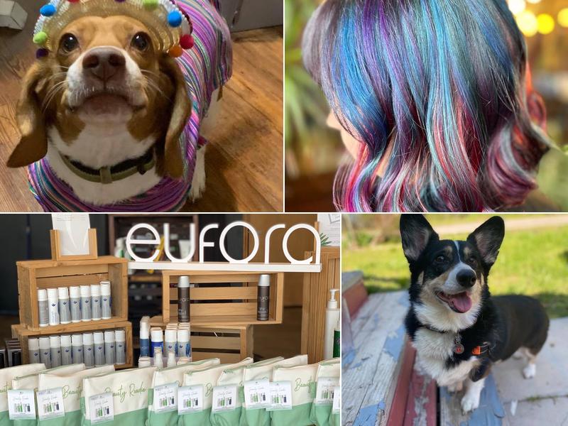 Inviktus Salon Springfield