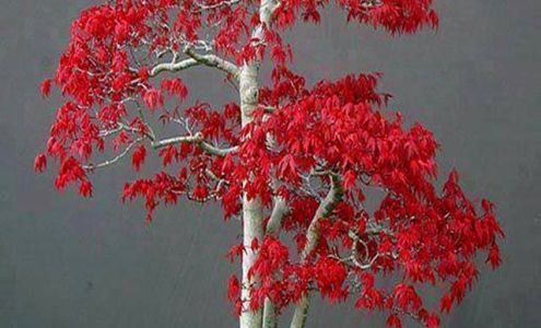 Uniquely Ours Hair & Nail Sln North Augusta