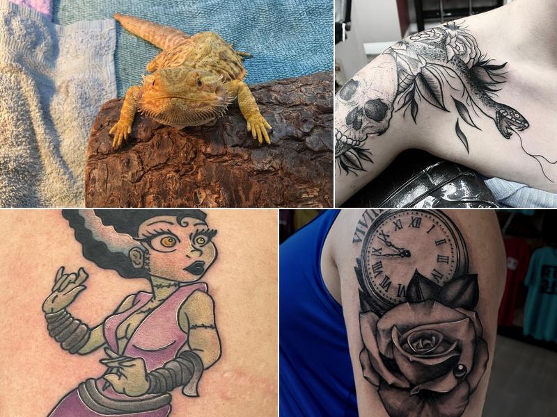 Devoted Tattoo Studio