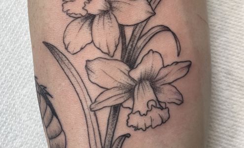 Division Street Tattoo Company