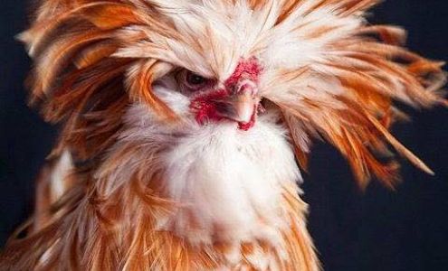 Vintage Beauty 104 13th St N, Benson Minnesota 56215