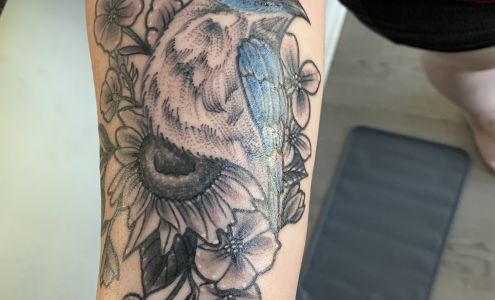 House of Ink 1026 W N Blvd, Leesburg Florida 34748