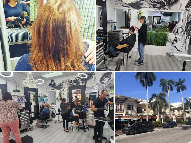 Salon Forty-One on main