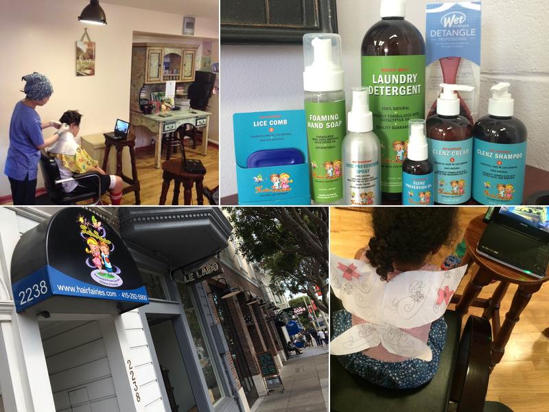 Hair Fairies The Head Lice Helpers San Francisco