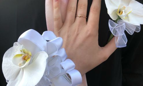 Blooming Nails 826 N Elmhurst Rd, Prospect Heights Illinois 60070