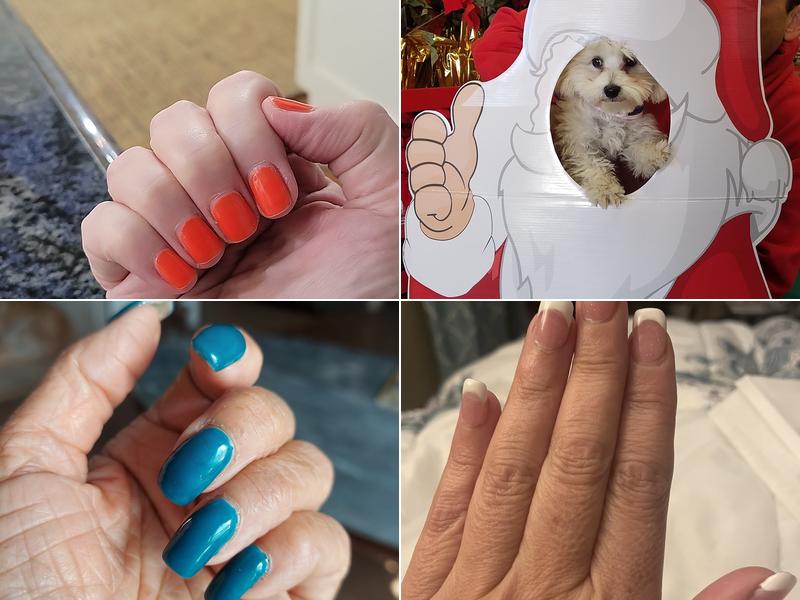 Paradise Nail and Spa