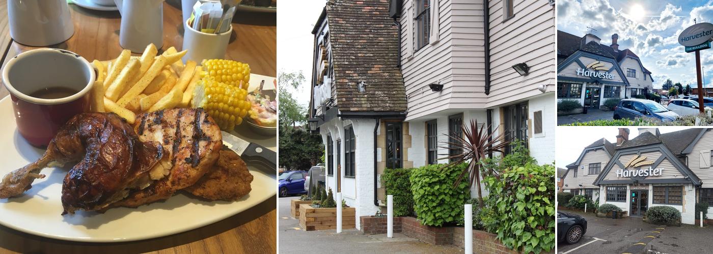 Harvester Bulldog Ashford