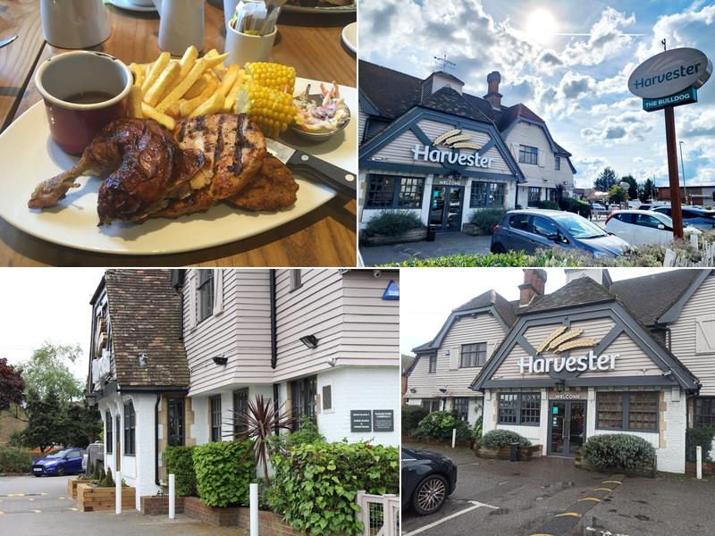 Harvester Bulldog Ashford