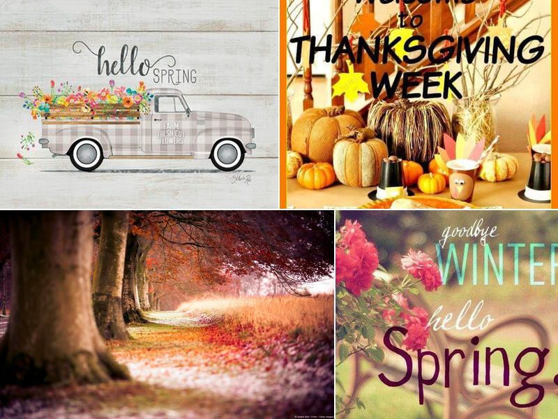 M J's Hair at Last Salon