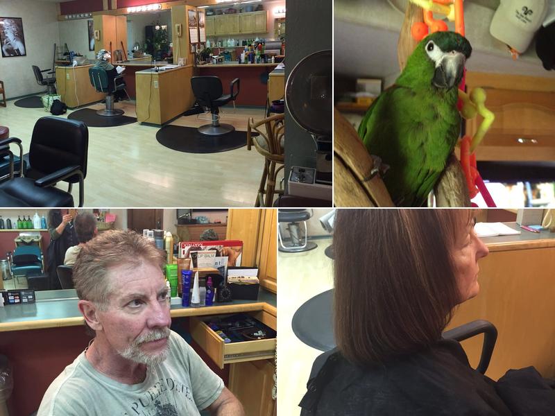 Hot Locks Hair Design