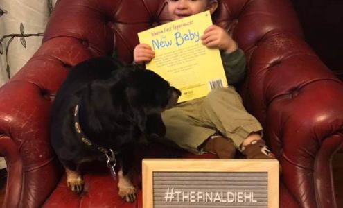 beauty company terre haute