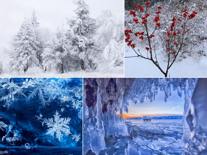 The Village Grapevine