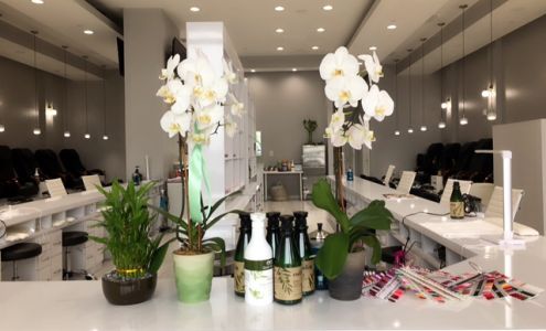 Polished Nails And Hair Baltimore Baltimore